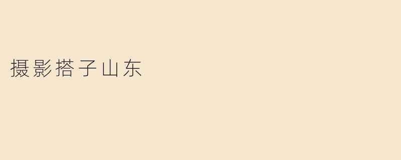 摄影搭子山东是什么意思？