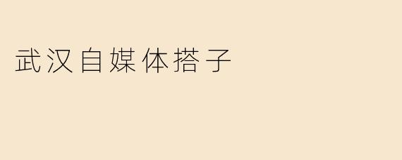 武汉自媒体搭子