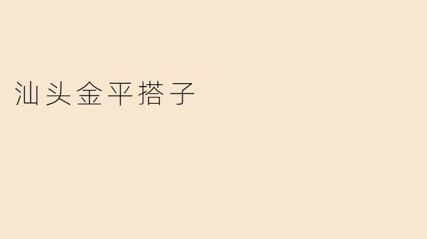 汕头金平搭子