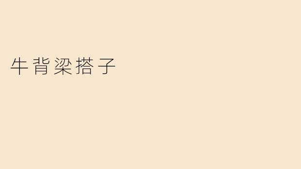 牛背梁搭子