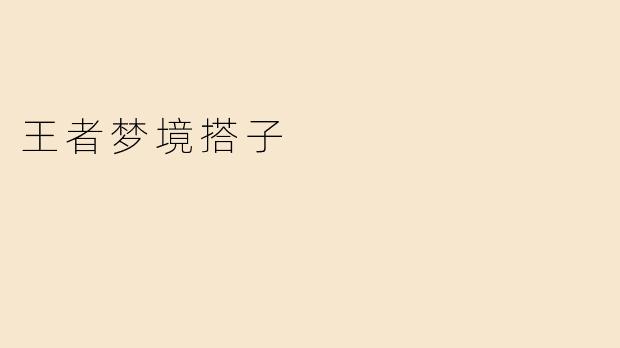 王者梦境搭子