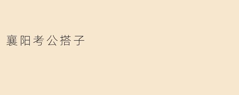 襄阳考公搭子