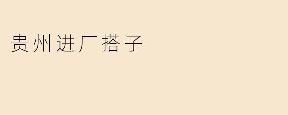 贵州进厂搭子