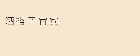 酒搭子宜宾