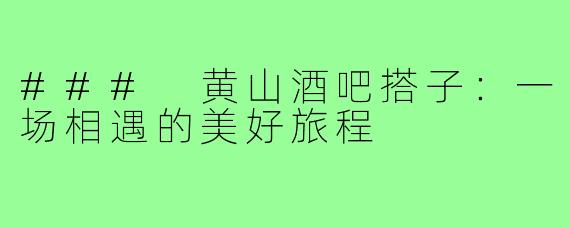 ### 黄山酒吧搭子:一场相遇的美好旅程