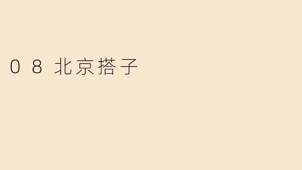 08北京搭子
