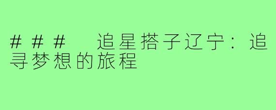 ### 追星搭子辽宁：追寻梦想的旅程