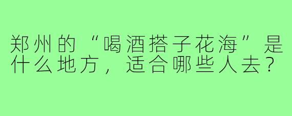 郑州的“喝酒搭子花海”是什么地方，适合哪些人去？