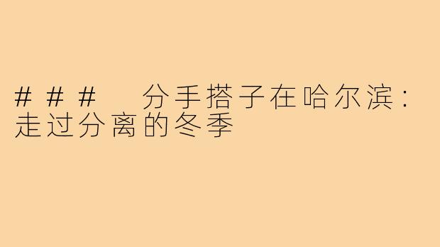 ### 分手搭子在哈尔滨:走过分离的冬季