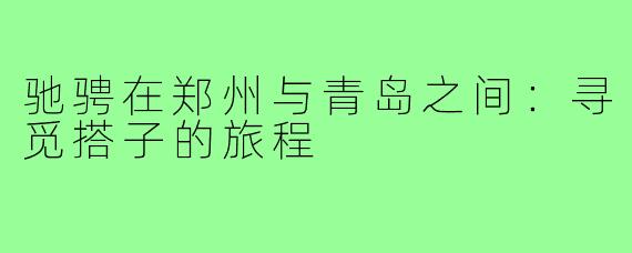 驰骋在郑州与青岛之间:寻觅搭子的旅程