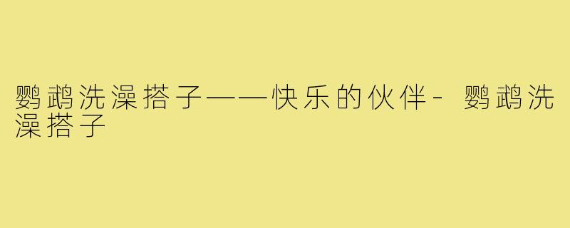 鹦鹉洗澡搭子——快乐的伙伴-鹦鹉洗澡搭子