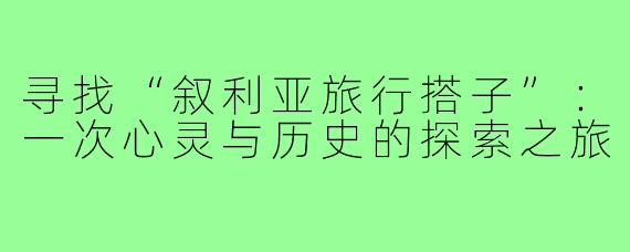 寻找“叙利亚旅行搭子”：一次心灵与历史的探索之旅