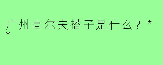 广州高尔夫搭子是什么?**