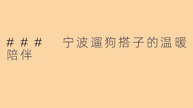 ### 宁波遛狗搭子的温暖陪伴
