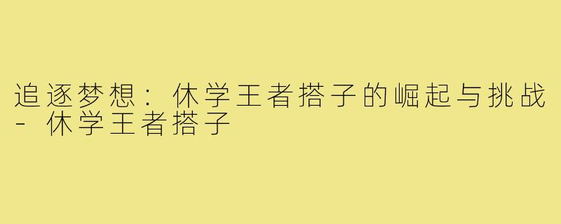 追逐梦想:休学王者搭子的崛起与挑战-休学王者搭子