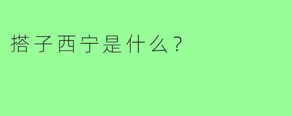 搭子西宁是什么?