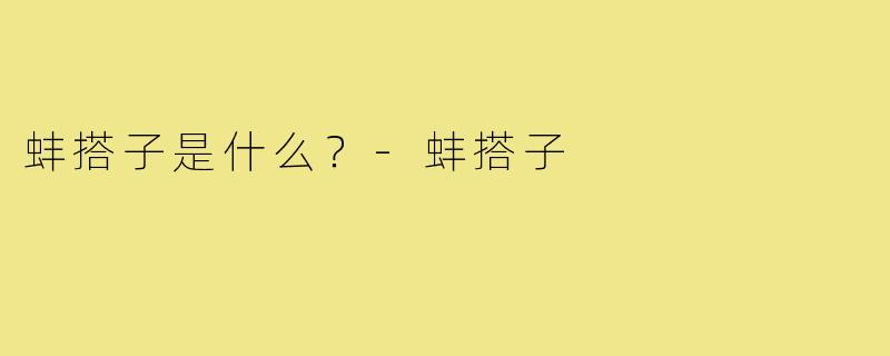 蚌搭子是什么？