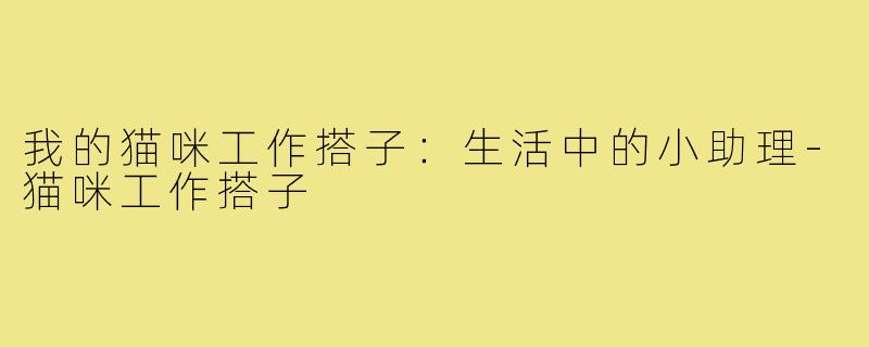 我的猫咪工作搭子:生活中的小助理-猫咪工作搭子