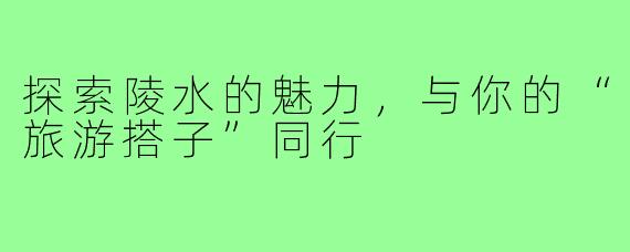 探索陵水的魅力,与你的“旅游搭子”同行