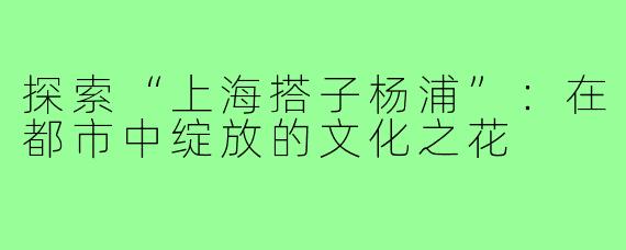 探索“上海搭子杨浦”:在都市中绽放的文化之花