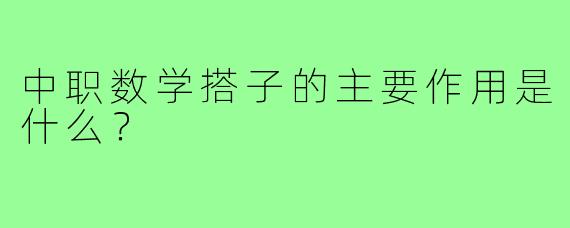 中职数学搭子的主要作用是什么？