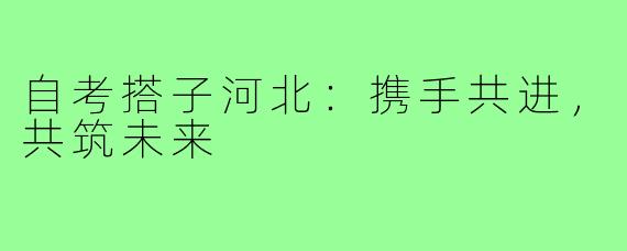自考搭子河北：携手共进，共筑未来