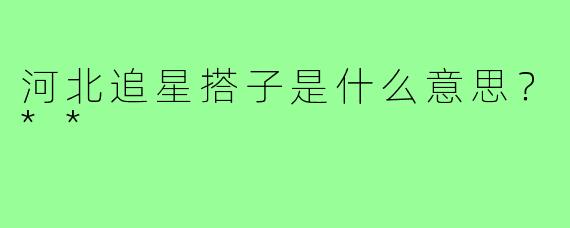 河北追星搭子是什么意思?**