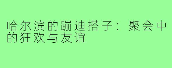 哈尔滨的蹦迪搭子：聚会中的狂欢与友谊