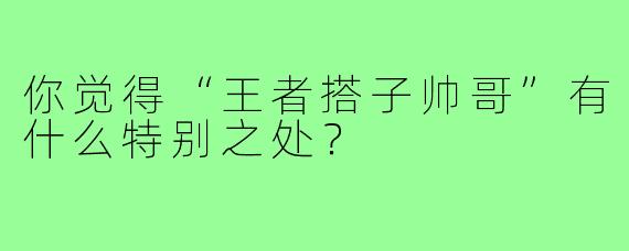 你觉得“王者搭子帅哥”有什么特别之处?