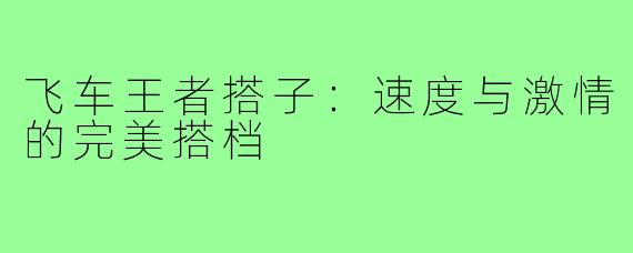 飞车王者搭子:速度与激情的完美搭档