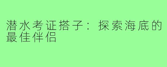 潜水考证搭子：探索海底的最佳伴侣