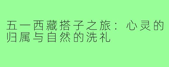 五一西藏搭子之旅:心灵的归属与自然的洗礼