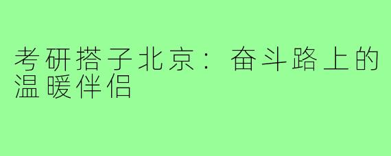 考研搭子北京:奋斗路上的温暖伴侣