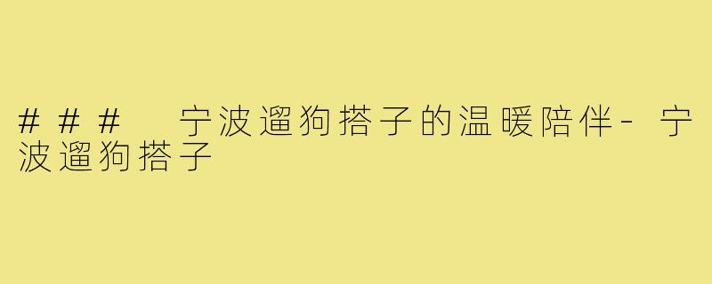 ### 宁波遛狗搭子的温暖陪伴-宁波遛狗搭子