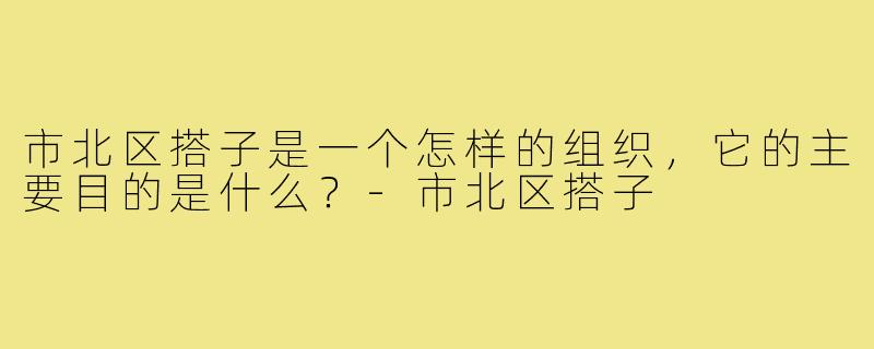 市北区搭子是一个怎样的组织，它的主要目的是什么？