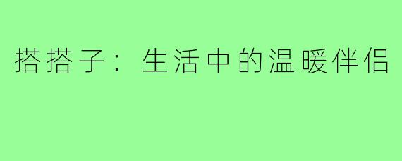 搭搭子:生活中的温暖伴侣