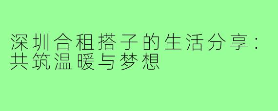 深圳合租搭子的生活分享：共筑温暖与梦想