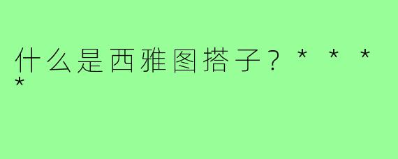 什么是西雅图搭子？****