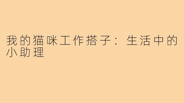 我的猫咪工作搭子:生活中的小助理