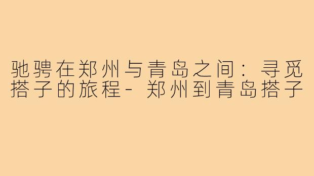 驰骋在郑州与青岛之间:寻觅搭子的旅程-郑州到青岛搭子