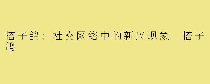 搭子鸽：社交网络中的新兴现象-搭子鸽