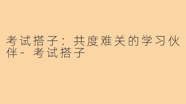 考试搭子：共度难关的学习伙伴