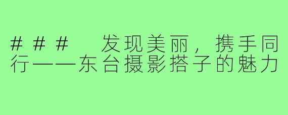 ### 发现美丽,携手同行——东台摄影搭子的魅力