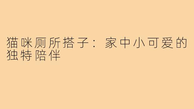 猫咪厕所搭子：家中小可爱的独特陪伴