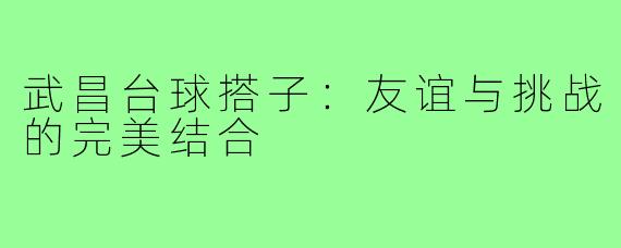 武昌台球搭子：友谊与挑战的完美结合