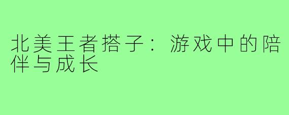 北美王者搭子：游戏中的陪伴与成长
