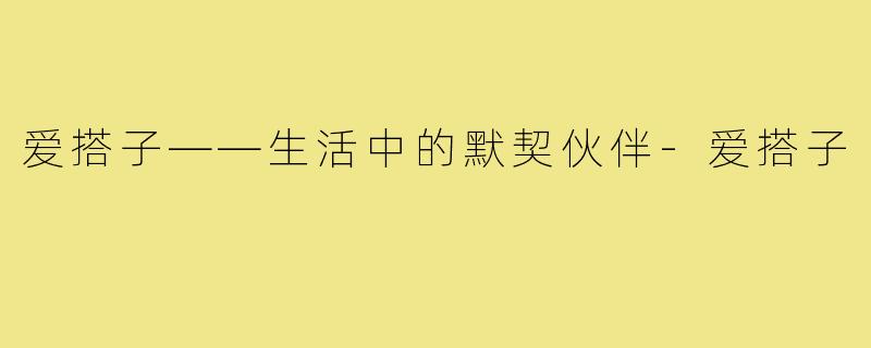 爱搭子——生活中的默契伙伴-爱搭子