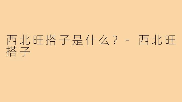 西北旺搭子是什么？