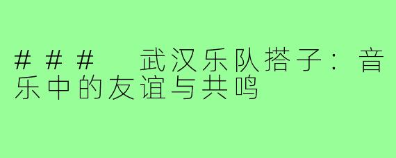 ### 武汉乐队搭子：音乐中的友谊与共鸣