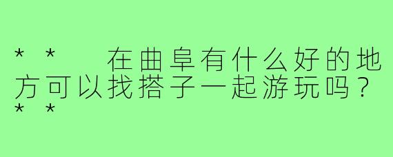 ** 在曲阜有什么好的地方可以找搭子一起游玩吗?**